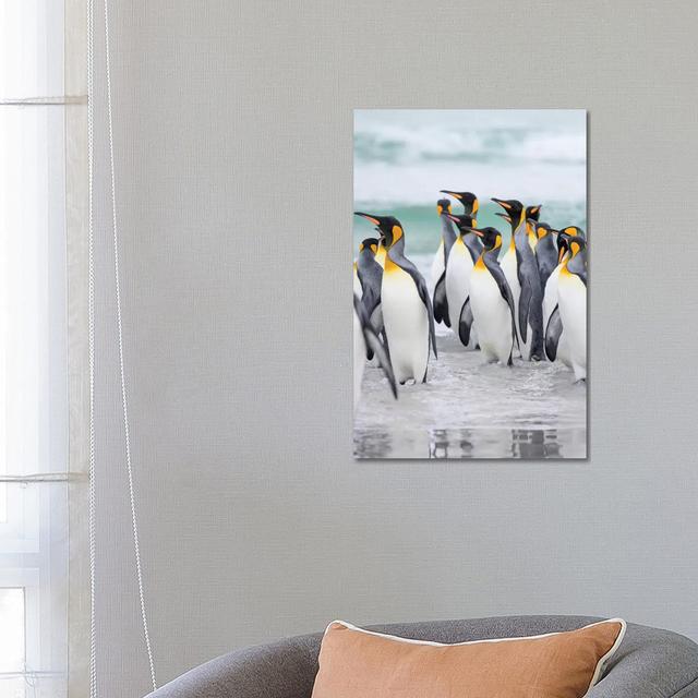 King Penguin on Falkland Islands. by Martin Zwick - Wrapped Canvas Photograph House of Hampton Size: 66.04cm H x 45.72cm W x 3.81cm D on Productcaster.