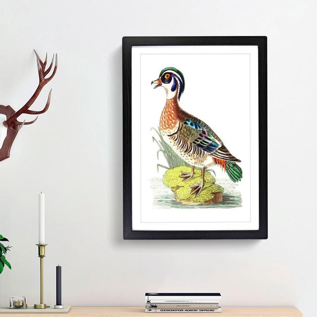 Summer Duck by George Shaw - Picture Frame Painting Print East Urban Home Size: 36cm H x 27cm W x 2cm D, Frame Option: Black Framed on Productcaster.