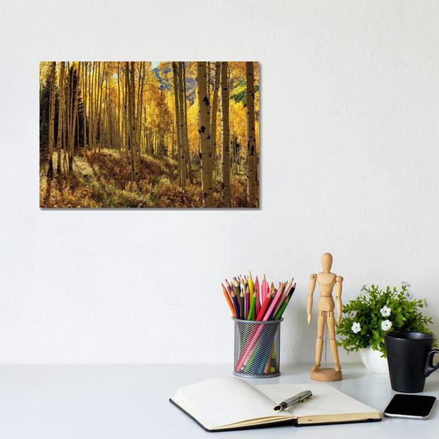 Autumn Aspen Forest Colorado USA by OLena Art - Wrapped Canvas Gallery-Wrapped Canvas Giclée Alpen Home Size: 20.32cm H x 30.48cm W x 1.91cm D on Productcaster.