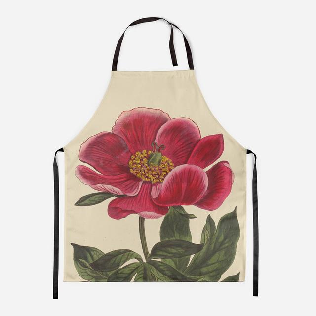 Peony - Botanical Aprons We Love Cushions on Productcaster.