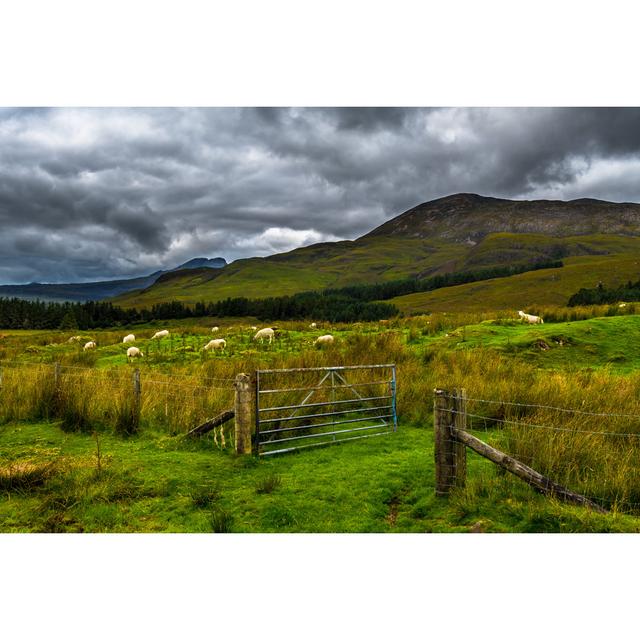 Willeford Open Gate To Pasture by Grafxart8888 - Print Alpen Home Size: 61cm H x 91cm W x 3.8cm D on Productcaster.