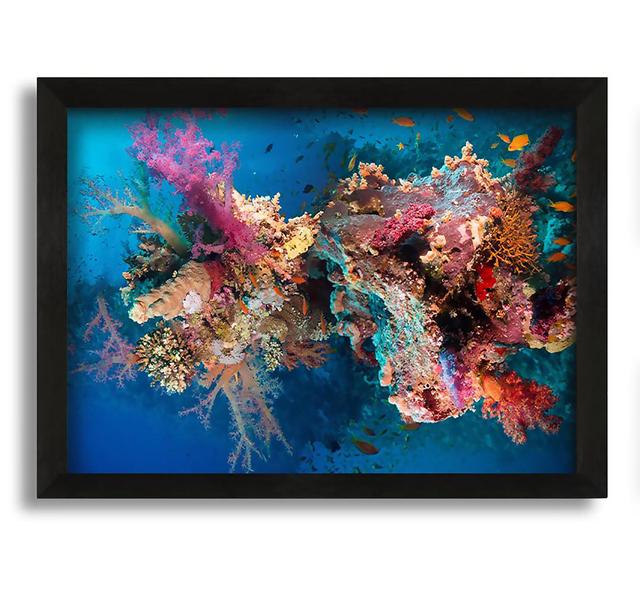 Coral Reef Habitat House of Hampton Format: Black Framed Canvas, Size: 30cm H x 42cm W x 10cm D on Productcaster.