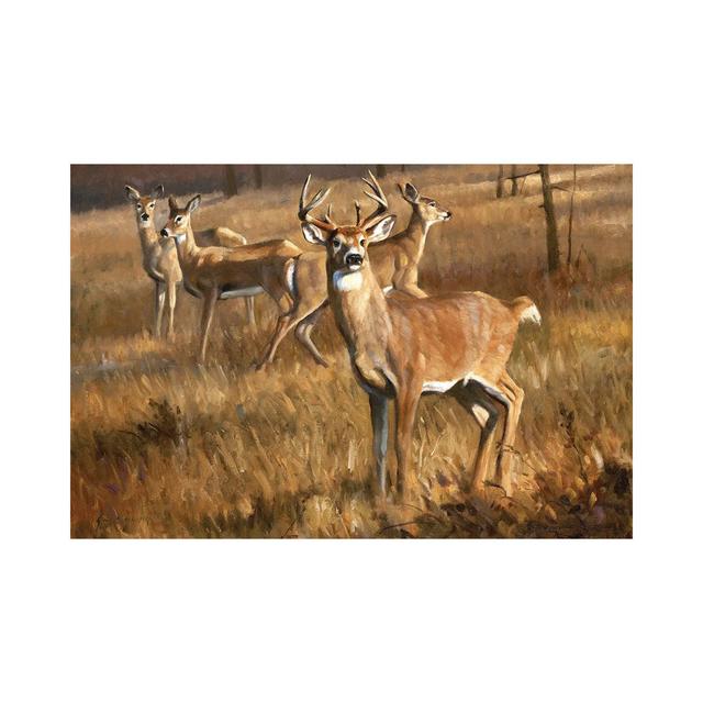 Whitetail Deer by Grant Hacking - Gallery-Wrapped Canvas Giclée on Canvas Union Rustic Format: Wrapped Canvas, Size: 45.72cm H x 66.04cm W on Productcaster.