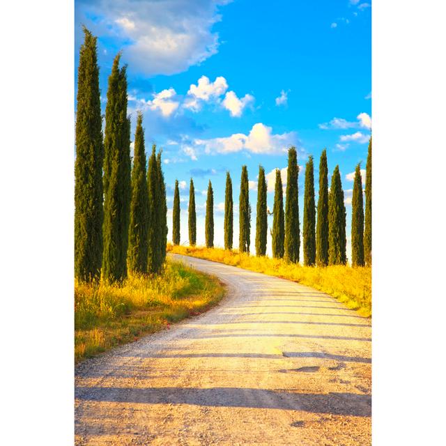 Cypress Trees - Wrapped Canvas Photograph 17 Stories Size: 76cm H x 51cm W on Productcaster.