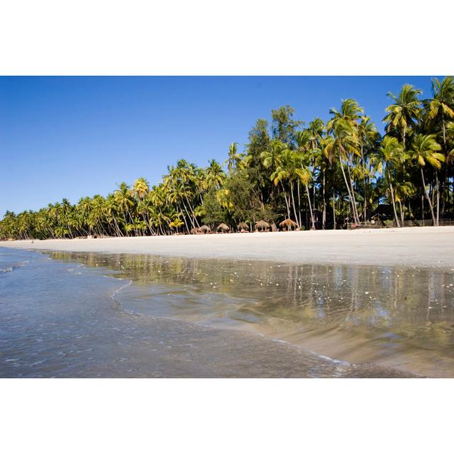 Tropical Beach With Palm Trees by Mihau - No Frame Art Prints on Canvas 17 Stories Size: 30cm H x 46cm W on Productcaster.