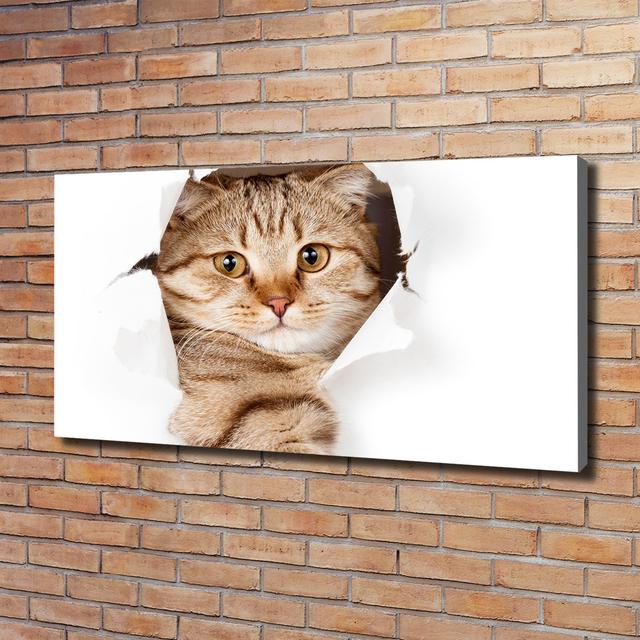 Cat - Wrapped Canvas Art Prints Brayden Studio on Productcaster.