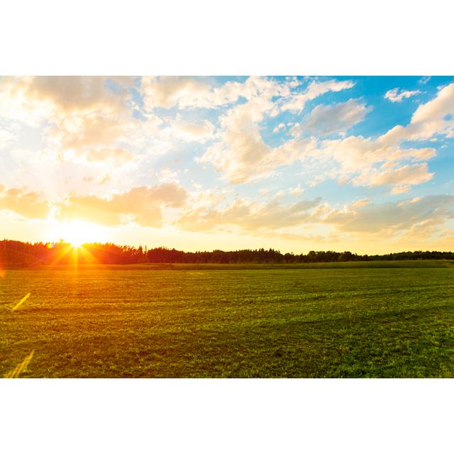 Sunset Over Meadow by Brzozowska - Print 17 Stories Size: 51cm H x 76cm W on Productcaster.