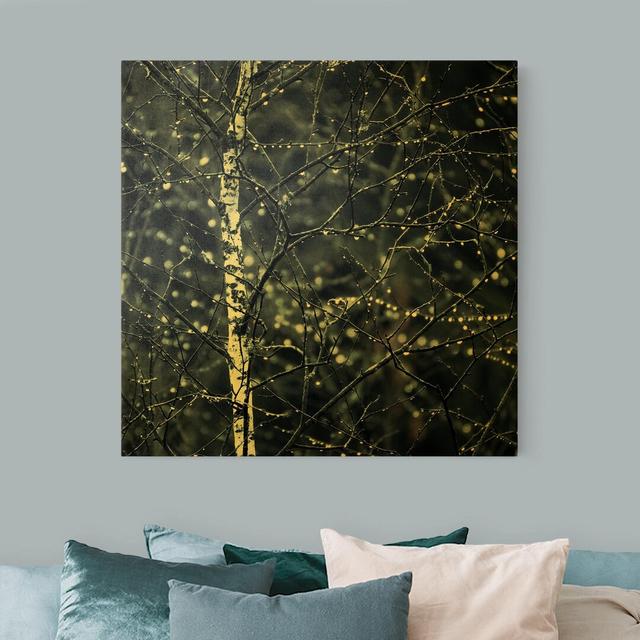 Dark Birch in the Cold Rain by Monika Strigel Graphic Art Ebern Designs Colour: Yellow, Format: Canvas 260g/m², Size: 70cm H x 70cm W on Productcaster.