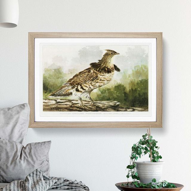 Ruffed Grouse Partridge by W.B. Gillette - Picture Frame Graphic Art Print East Urban Home Size: 50cm H x 76cm W x 2cm D, Frame Option: Oak on Productcaster.