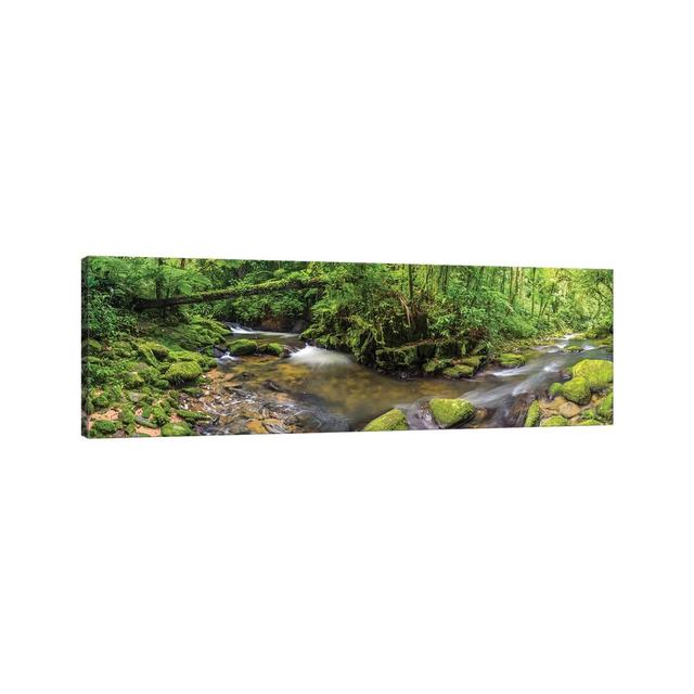 Jungle Panorama I by Glauco Meneghelli - Print on Canvas Union Rustic Format: Wrapped Canvas, Size: 60.96cm H x 182.88cm W x 3.81cm D on Productcaster.