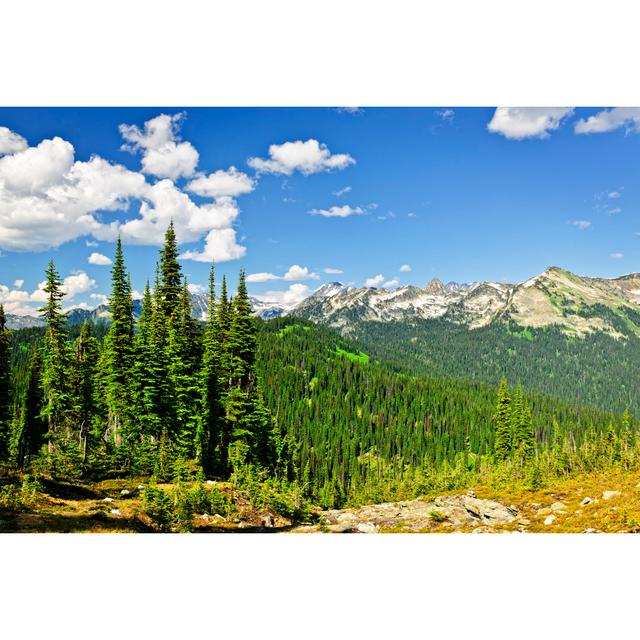 Conesville Rocky Mountain View From Mount Revelstoke - Wrapped Canvas Photograph Alpen Home Size: 51cm H x 76cm W x 3.8cm D on Productcaster.