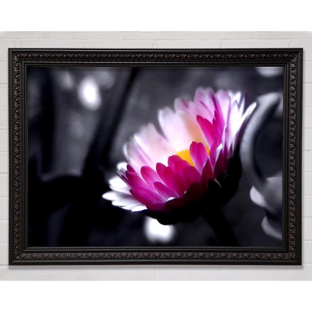 Pink Flower on Silver and Silver Background - Picture Frame Art Prints Bright Star Size: 84.1cm H x 118.9cm W on Productcaster.