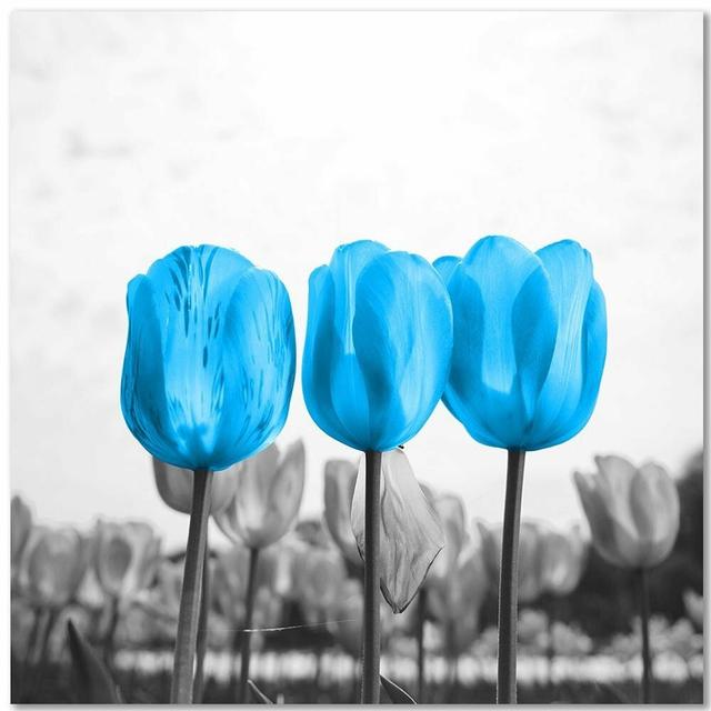 Leinwandbild Blaue Tulpen ModernMoments Größe: 40 cm H x 40 cm B on Productcaster.