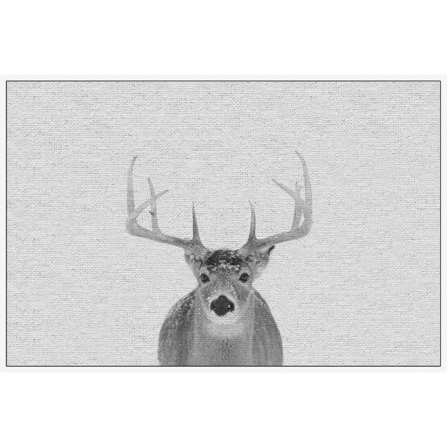 Serious Deer - Floater Frame Photograph Print on Canvas East Urban Home Size: 30 cm H x 46 cm W x 4 cm D on Productcaster.