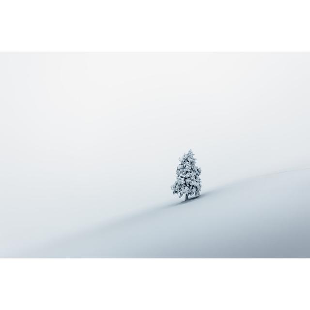 Einsamer Baum im Schnee von Borchee - Druck ohne Rahmen auf Leinwand 17 Stories Größe: 50 cm H x 75 cm B on Productcaster.