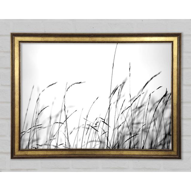 Little Shadow - Single Picture Frame Art Prints Brayden Studio Size: 29.7cm H x 42cm W x 1.5cm D on Productcaster.