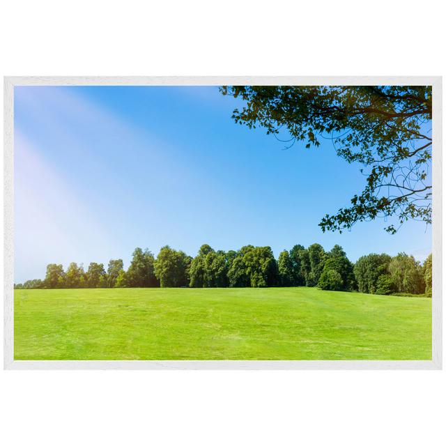 Urbain Beauty Landscape of Grass Field with Forest Trees and Environment Public Park with Sun Rays - Single Picture Frame Art Prints Latitude Run Size on Productcaster.