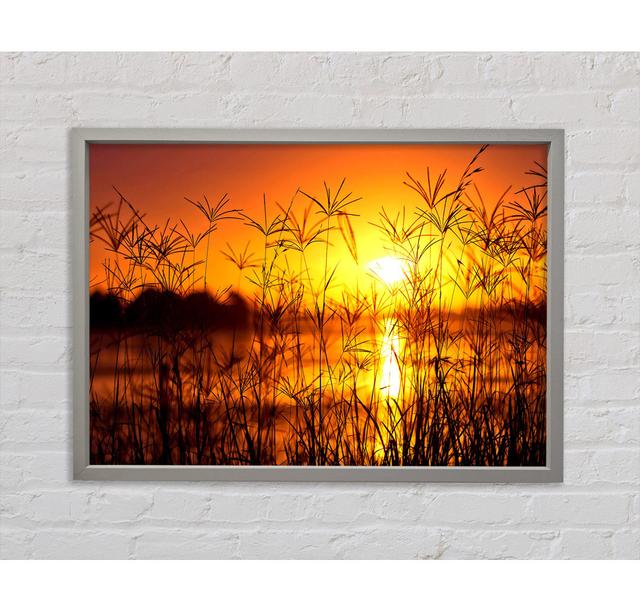 Sunset Light Summer Framed Print House of Hampton Size: 100cm H x 141.4cm W x 3.3cm D on Productcaster.