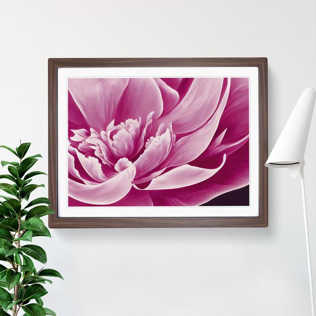 Awesome Peony Flower - Single Picture Frame Print Marlow Home Co. Frame Colour: Walnut, Size: 46cm H x 64cm W x 2cm D on Productcaster.