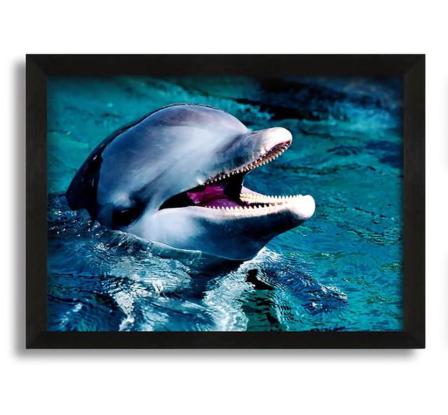 Dolphins Call Framed Print House of Hampton Size: 21cm H x 30cm W x 10cm D, Format: Black Framed Canvas on Productcaster.