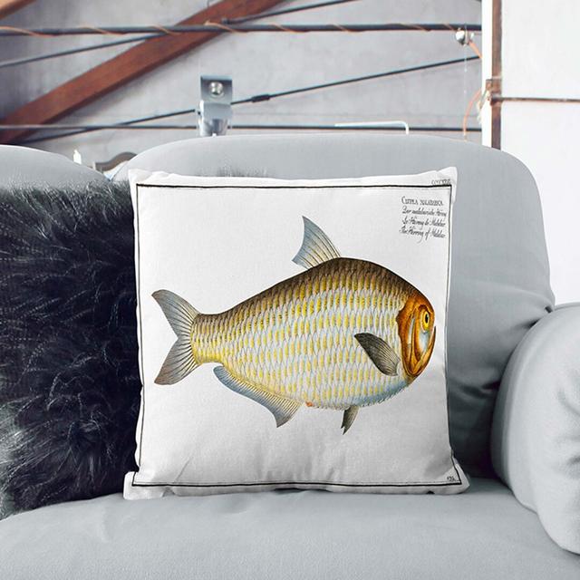 Herring Fish by M.E. Bloch Cushion with Filling East Urban Home Size: 40cm H x 40cm W x 15cm D, Backing Colour: Stone on Productcaster.