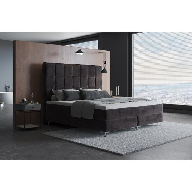 Echtes Boxspringbett Sade mit Premium Visco Topper, mit Samtstoff bezogen Canora Grey Größe: 160 x 200 cm, Matratzenhärte: H2 - bis zu ca. 75 kg / H4 on Productcaster.