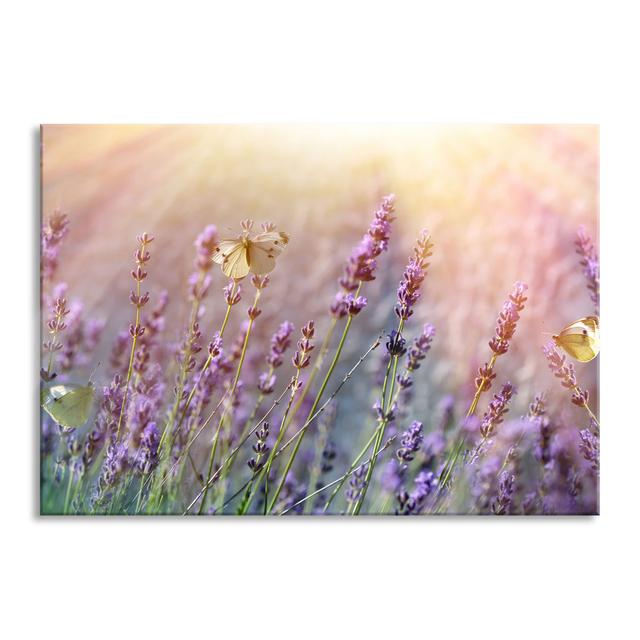 Butterfly on Lavender Flowers - Unframed Photograph on Glass Brayden Studio Colour: Purple, Size: 60cm H x 80cm W x 0.4cm D on Productcaster.