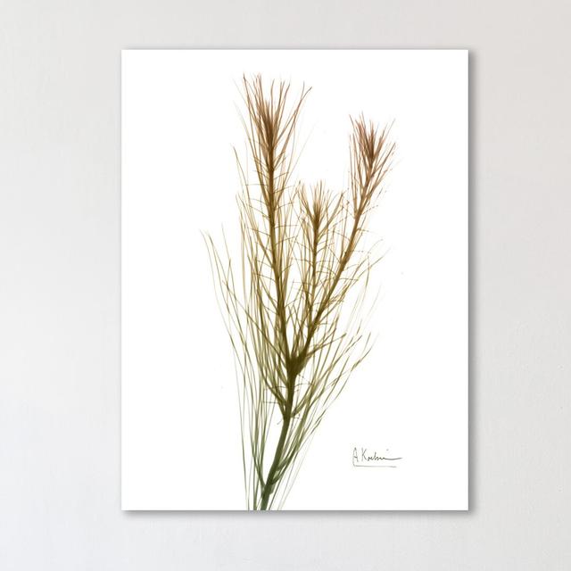 Autumn Botanical - Wrapped Canvas Graphic Art Print East Urban Home Size: 81 cm H x 61 cm W on Productcaster.