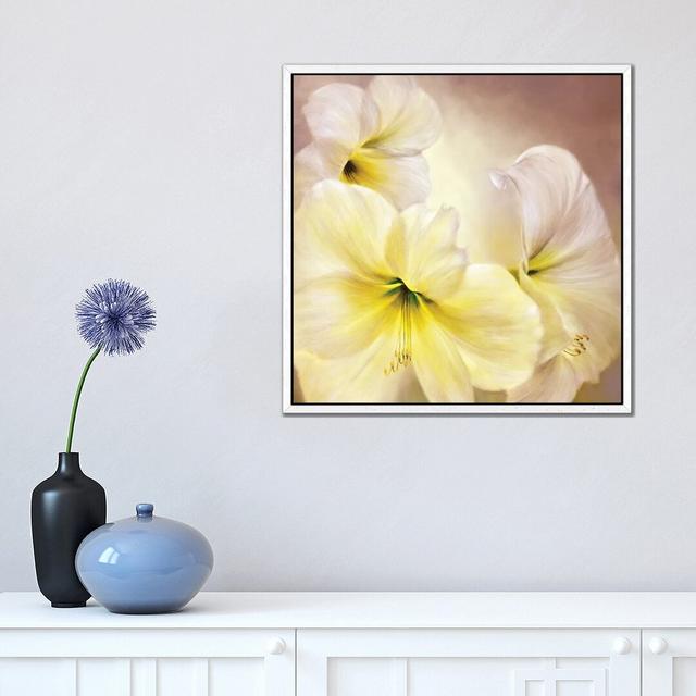 White Amaryllis by Marianna Shakhova - Print on Canvas Marlow Home Co. Size: 45.72cm H x 45.72cm W x 3.81cm D, Format: White Framed on Productcaster.