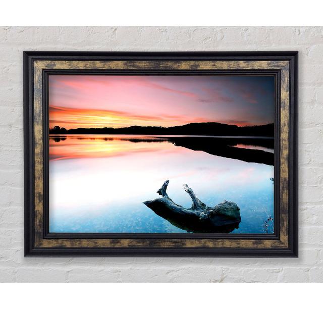 Picture Frame Art Prints on Paper Bright Star Size: 21cm H x 42cm W on Productcaster.