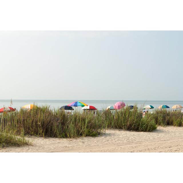 Myrtle Beach by Scottnodine - Wrapped Canvas Photograph House of Hampton Size: 30cm H x 46cm W x 3.8cm D on Productcaster.