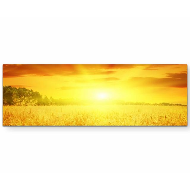 Leinwandbild Wunderschöner Sonnenuntergang über Getreidefeld East Urban Home Größe: 150 L x 50 B on Productcaster.