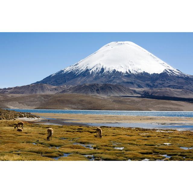 Volcano And Vicuna by Stevegeer - Wrapped Canvas Print Wall Art Production Network Size: 20cm H x 30cm W x 3.8cm D on Productcaster.