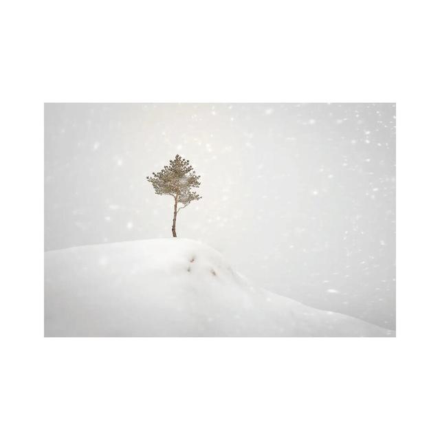 Winter Tree On The Hill by Nik Rave - Wrapped Canvas Gallery-Wrapped Canvas Giclée Latitude Run Size: 30.48cm H x 45.72cm W x 1.91cm D on Productcaster.