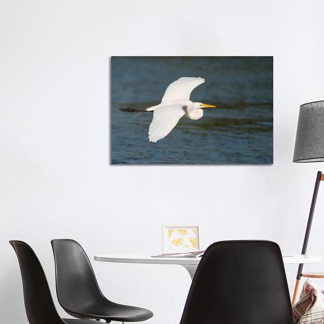 Great Egret Flying, Fort Myers Beach, Florida House of Hampton Size: 66.04cm H x 101.6cm W x 1.91cm D on Productcaster.