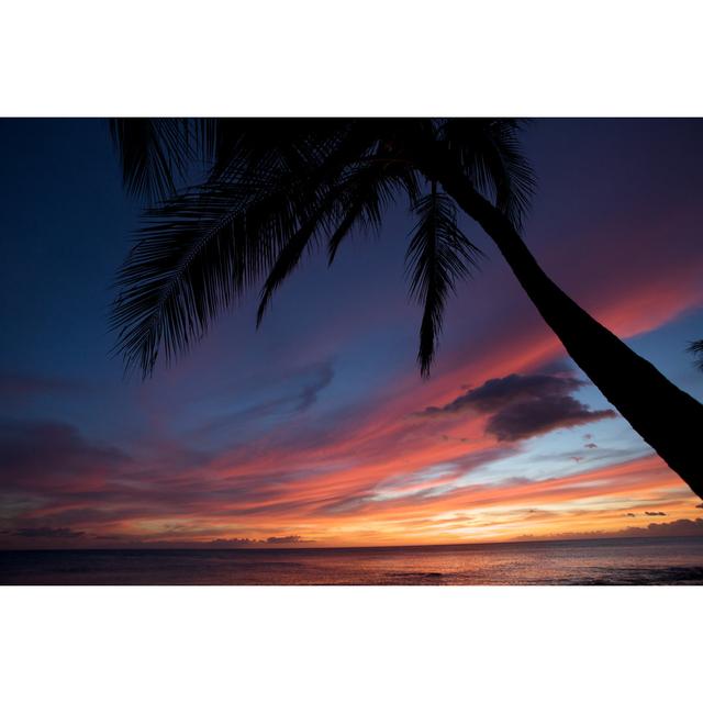 Hawaiian Sunset At Luau by Digi_Guru - Wrapped Canvas Print 17 Stories Size: 51cm H x 76cm W x 3.8cm D on Productcaster.