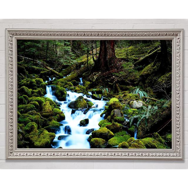 Forest Stream Movement - Closed Corner Frame Art Prints on Wood Latitude Run Size: 29.7cm H x 42cm W x 3cm D, Format: White Framed Paper on Productcaster.