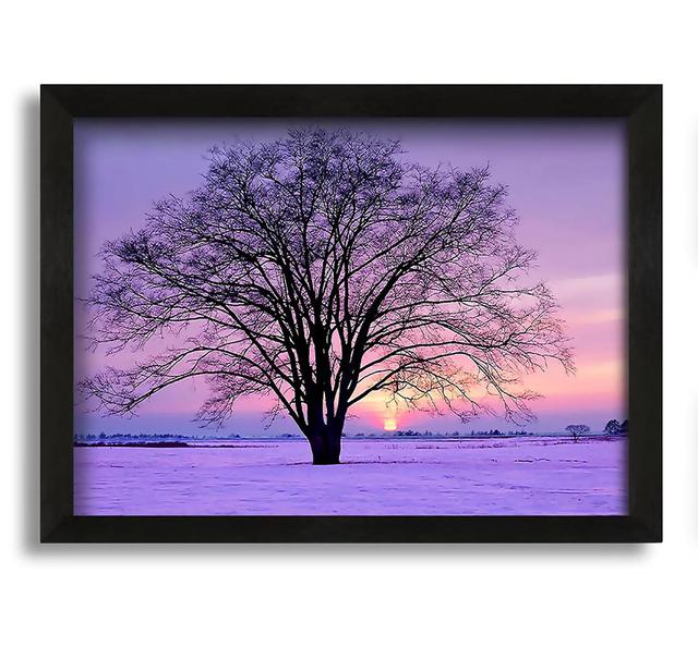 Sunrise in the Winter - Picture Frame Photograph on Canvas Brayden Studio on Productcaster.