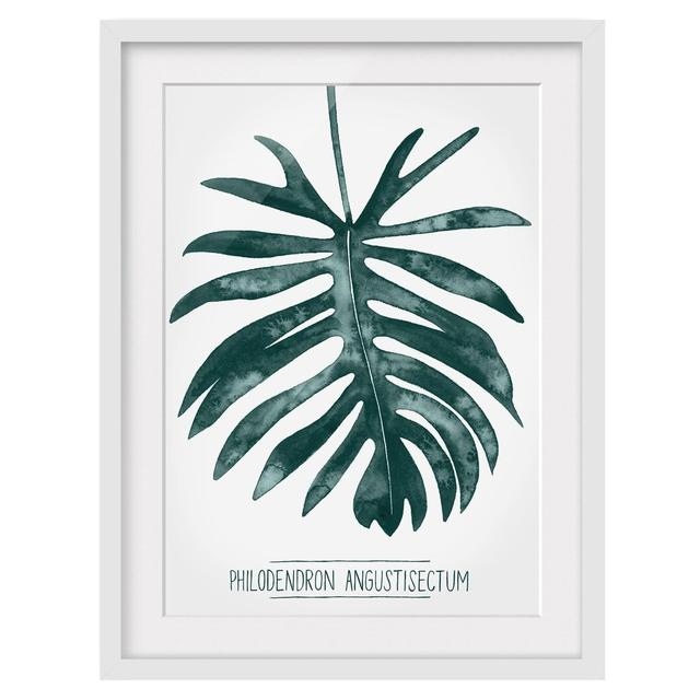 Emerald Green Philodendron Angustisectum - Picture Frame Painting Bay Isle Home Size: 40cm H x 30cm W x 2cm D, Frame Option: White on Productcaster.