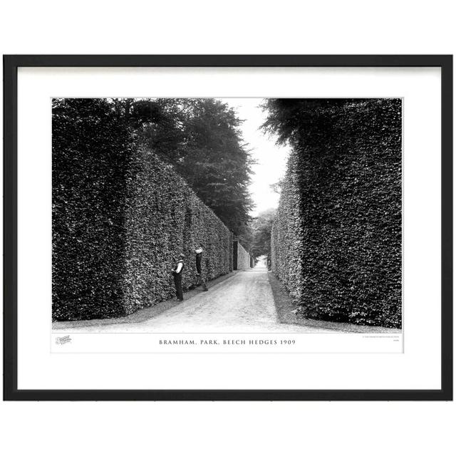 'Bramham, Park, Beech Hedges 1909' - Picture Frame Photograph Print on Paper The Francis Frith Collection Size: 60cm H x 80cm W x 2.3cm D on Productcaster.