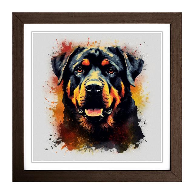 Rottweiler Grunge No.1 - Print Marlow Home Co. Frame Colour: Walnut on Productcaster.