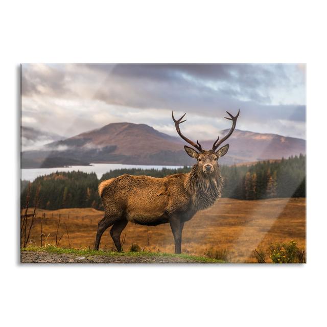 Deer in a Breathtaking Landscape - Unframed Photograph on Glass Alpen Home Size: 70cm H x 100cm W x 0.4cm D on Productcaster.