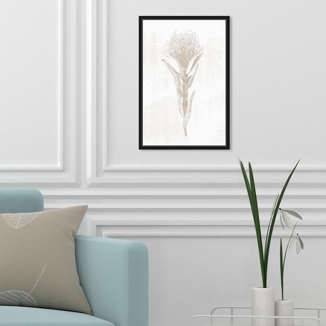 Floral and Botanical Classic Realistic Flower Picture Frame Graphic Art on Canvas Oliver Gal Format: Black Framed, Size: 38.1cm H x 25.4cm W on Productcaster.