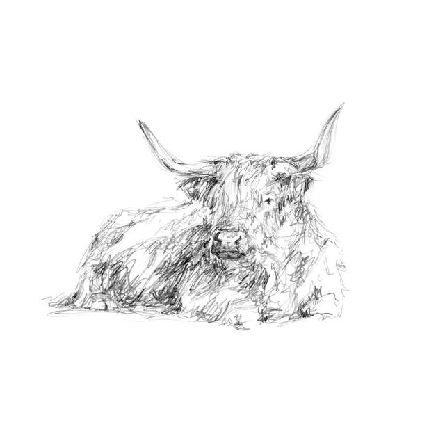 Highland Cattle Sketch I - Print Gracie Oaks Size: 20cm H x 30cm W on Productcaster.