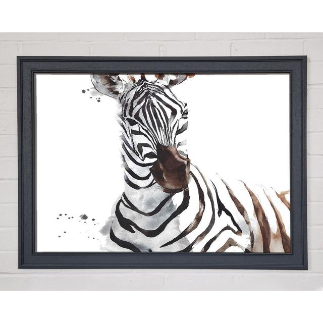 Zebta Splatter - Single Picture Frame Art Prints Latitude Vive Size: 42cm H x 59.7cm W on Productcaster.