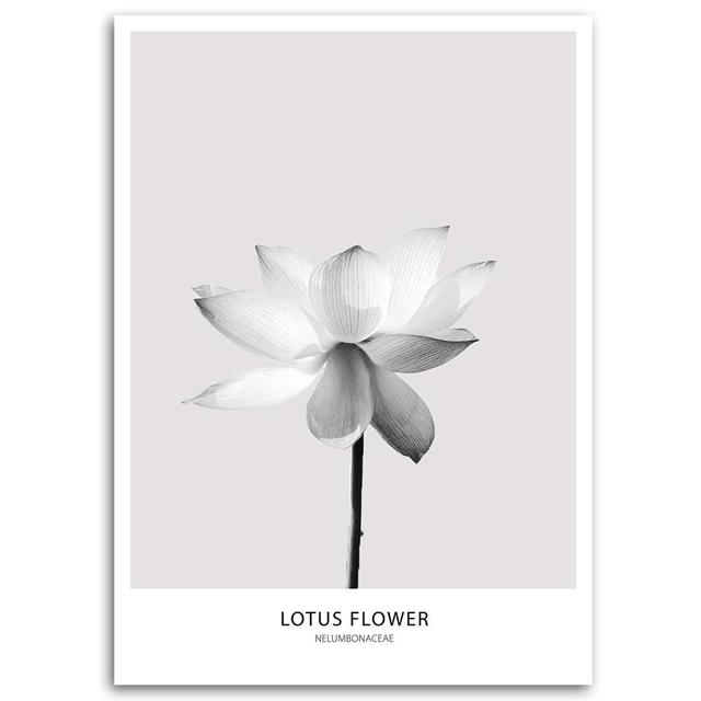 Leinwandbild White Lotus Flower Nature Happy Larry Größe: 120 cm H x 80 cm B on Productcaster.