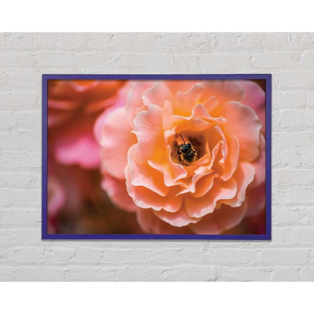 Bee Chilling In A Flower Framed Print Ophelia & Co. Size: 21cm H x 29.7cm W x 2cm D, Format: Orange Framed Paper on Productcaster.