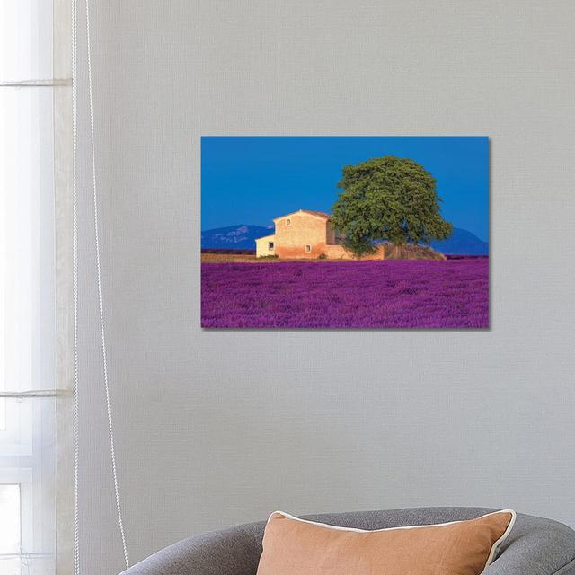 France, Provence. Lavender Field In The Valensole Plateau. by Jaynes Gallery - Wrapped Canvas Gallery-Wrapped Canvas Giclée Brambly Cottage Size: 45.7 on Productcaster.