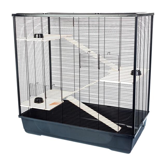 Van Buren Small Animal Cage Archie & Oscar Colour: Black, Size: 100" H x 100" W 54" D on Productcaster.