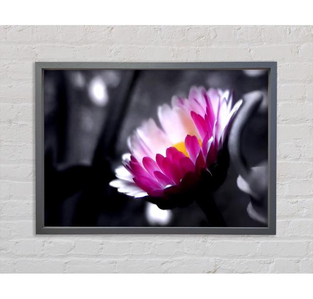 Pink Flower On Black And White Background - Single Picture Frame Art Prints on Canvas Ebern Designs Size: 84.1cm H x 118.9cm W x 3.3cm D on Productcaster.